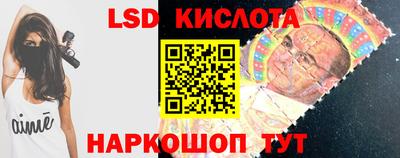 PSILOCYBIN Можга