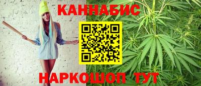 стаф Моздок