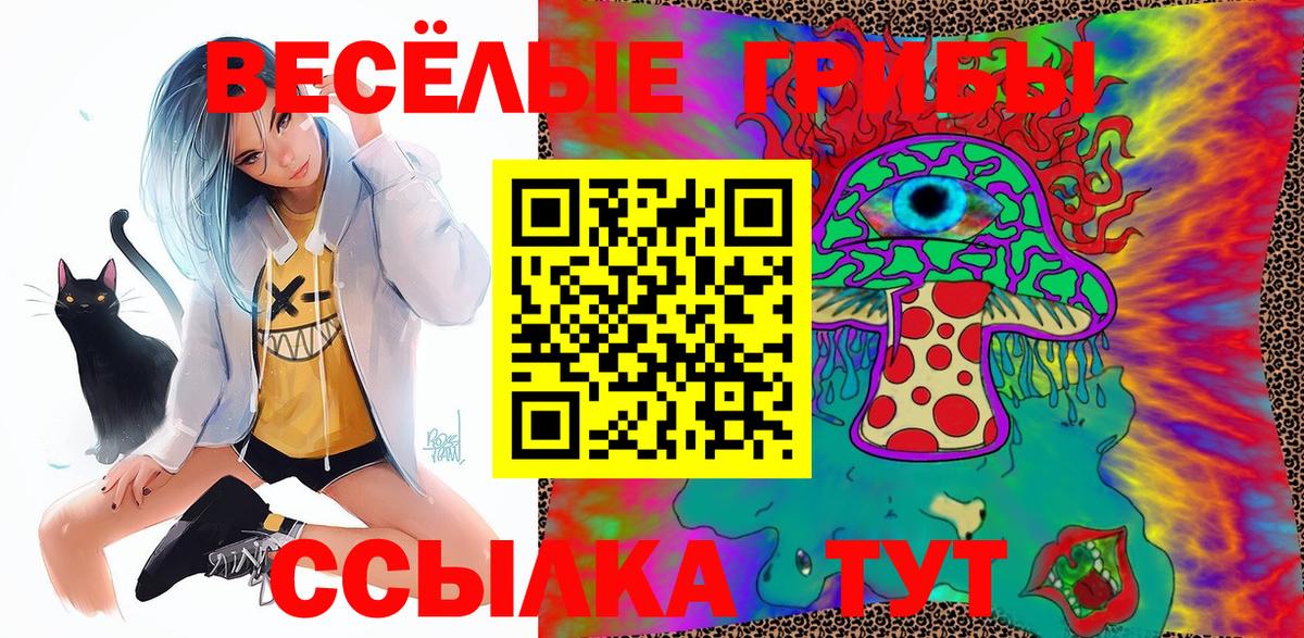 Химки  Псилоцибиновые грибы мицелий  Вход с VPN 